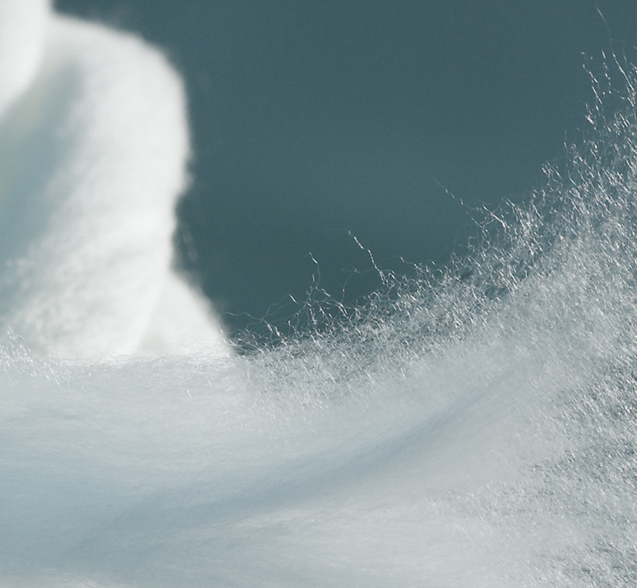 Công ty TNHH Tơ lụa Tô Châu Wangu